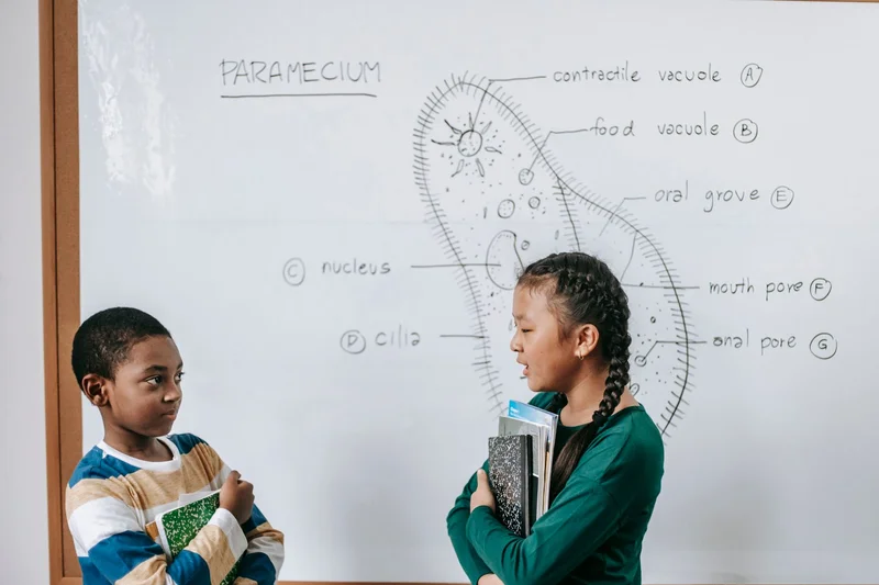 Two students stand at a whiteboard showing a labeled Paramecium diagram with nucleus, cilia, oral groove, and vacuoles during a biology lesson on cellular structure.